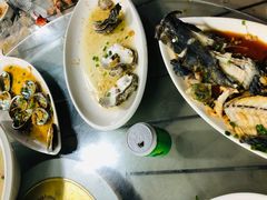-七鲜渔港美食餐厅(巽寮湾海景店)