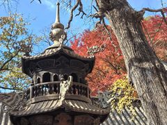 -青岛崂山太清宫
