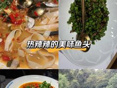 -坛宗剁椒鱼头(河西王府井店)