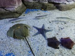 -多彩贵州城极地海洋世界