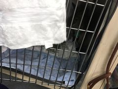 -爱侣宠医·鹦鹉专科·小型哺乳类·异宠专科(灵石路店)