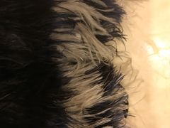 -吾净球鞋奢侈品洗护修复中心(汉街SKP店)