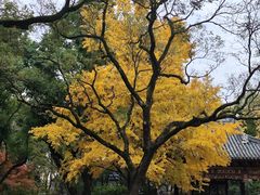 -汇龙潭