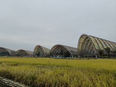 -中国天府农业博览园