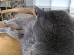 -平行世界·猫咖(首经贸店)