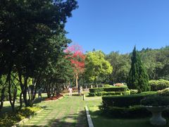 -西樵山风景名胜区-天湖公园