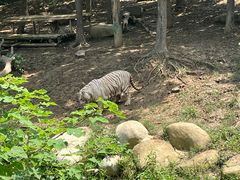 -常州淹城野生动物世界
