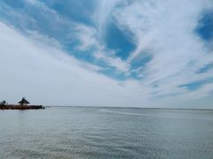 -哈素海