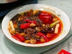 -圣厨牛腩(青春岛社区玉寿苑店)