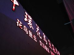 -中环花鸟鱼虫市场