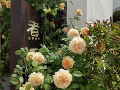 -煮雨小筑(斜塘老街店)