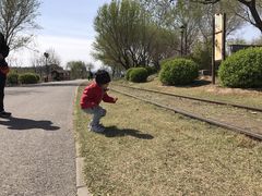 -永定河休闲森林公园