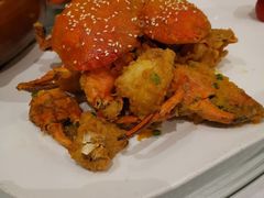 -沪碟·精菜坊(闵行店)