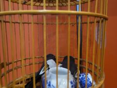 -了凡国风主题茶馆·咖啡(武侯祠锦里店)