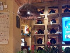 -泥糊破店小酒馆·团建聚餐(南京西路店)