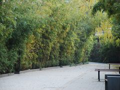 -泉乐坊步行街(烟酒特产平价超市店)