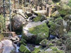 -藏龙百瀑风景区