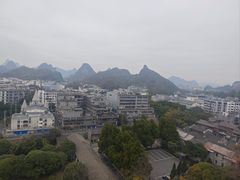 -椿记烧鹅(叠彩店)