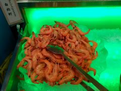 android_upload_pic-松子料理(亮马桥店)