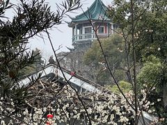 -无锡梅园公园