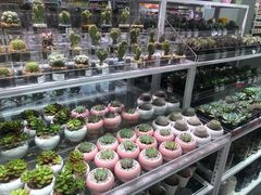 店内环境-KKV(深圳宏发大仟里店)