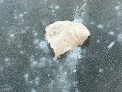 -中家鑫园温泉酒店鑫悦汤泉