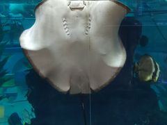 -鸿通城购物中心