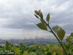 -火炉山森林公园