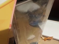-必胜客(双榆树店)