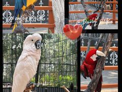 -北京野生动物园