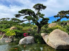 -罗红摄影艺术馆