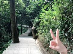 -火炉山森林公园