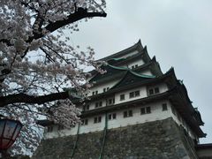 -名古屋城