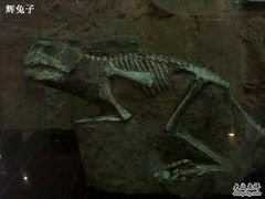 -中国西峡恐龙遗迹园