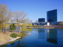 -大兴滨河森林公园