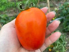 -美家乐农庄·露营·团建(大治路店)