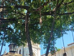 -厦门市鼓浪屿风景名胜区-天主教堂