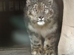 -青藏高原野生动物园