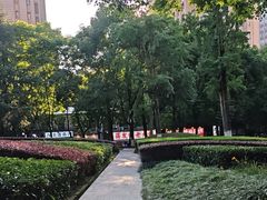-龙头寺公园
