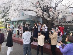-南浦大桥长途旅游客运站