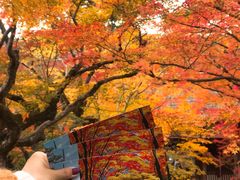 -常寂光寺