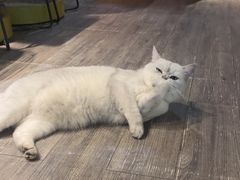 -后院儿·精酿·塔罗Happy Bar