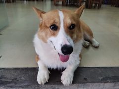 -鹿福农庄(南沙天后宫店)