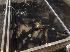 -铁锅炖灶台鱼老三炖鱼馆