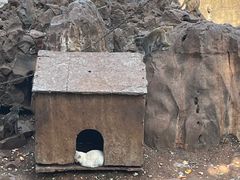 -昆明动物园