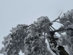 -娄山关景区