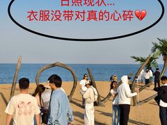 -日照海滨国家森林公园