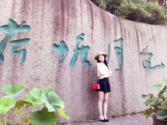 -荷塘月色湿地公园·向阳花洲