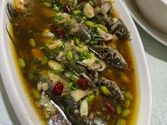 -呼吸森林·生态农庄农家乐私房菜