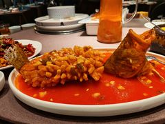 松鼠桂鱼-羲和雅苑•北京烤鸭(乐园道万象城店)